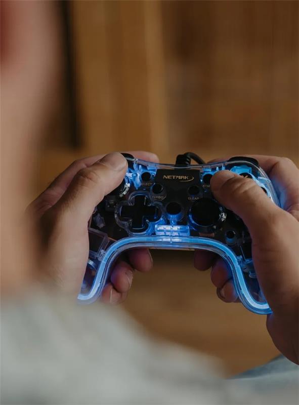 NETMAK GAMEPAD PC/PS3 USB RGB NM-DASH