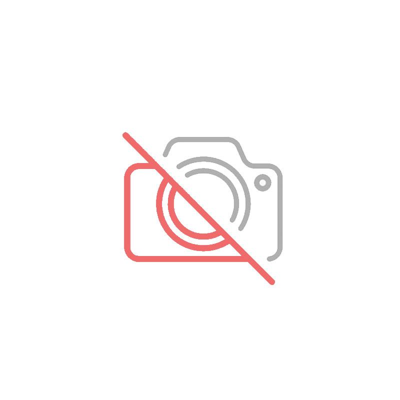 DISCO SSD 500 GB SATA III 2,5" WD GREEN